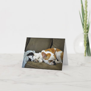 Donnern Sie die Bulldoggen-Gruß-Karten Karte