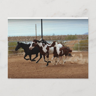 Donnersturm Postkarte