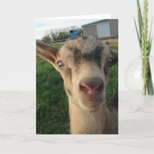 Donnerwetter in einer Woche Karte