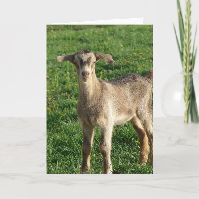 Donnerwetter in einer Woche Karte (Vorderseite)