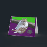 Don't have hat 80th Birthday Your! Feiertagskarte<br><div class="desc">Go ahead and celebrate your birthday with some cat-I-erd.  You deserve it.  You are the cat's meow.</div>