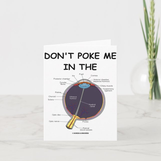 Dont Ke Me In The Eye Eye Anatomy Attitude  Karte (Vorderseite)