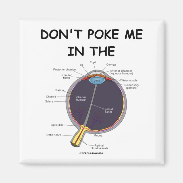 Dont Ke Me In The Eye Eye Anatomy Attitude  Magnet (Vorne)