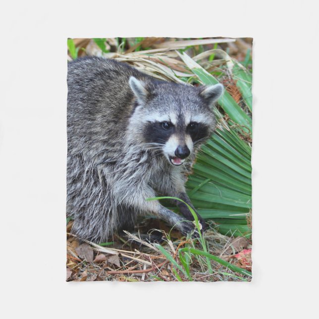 Don't Mind Me, Just Passing Through Fleecedecke (Vorderseite)