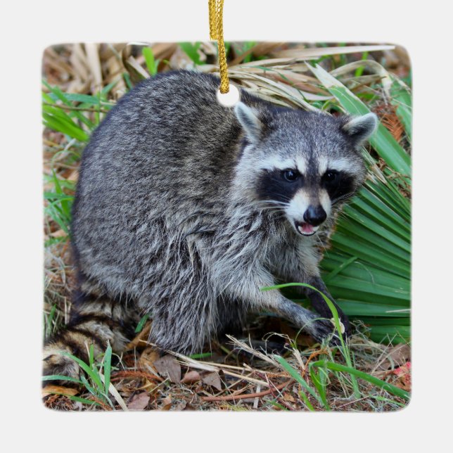 Don't Mind Me, Just Passing Through Keramikornament (Vorderseite)