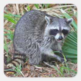 Don't Mind Me, Just Passing Through Quadratischer Aufkleber