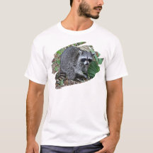 Don't Mind Me. Just Passing Through