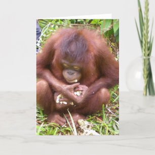 Don't Share #1 - wildlife greeting cards Karte