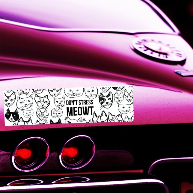DONT STRESS MEOWT Funny Cats Autoaufkleber (DONT STRESS MEOWT Funny Cats Hand-drawn cat lady Bumper Sticker
)
