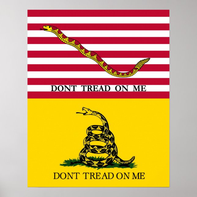 "Don't Tread On Me" - Marine Jack & Gadsden Flag Poster (Vorne)