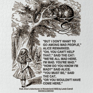 Don't Want To Go Among Mad People Alice Cheshire Puzzle