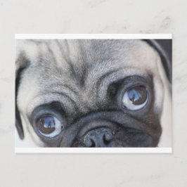 Doobie-Augen Postkarte