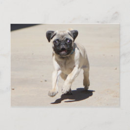 Doobie Runnin' Postkarte