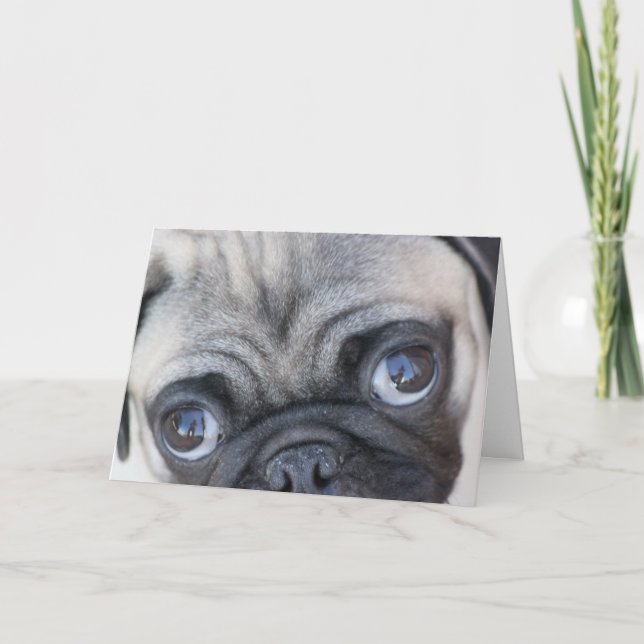 Doobies Augen Karte (Vorderseite)