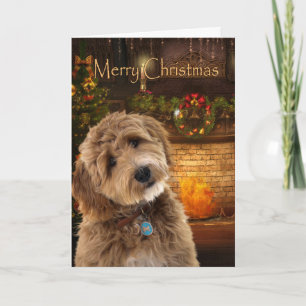 Doodle Dog Christmas Karte