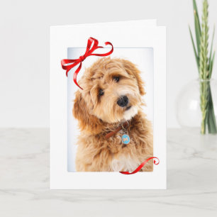Doodle Dog Christmas Karte