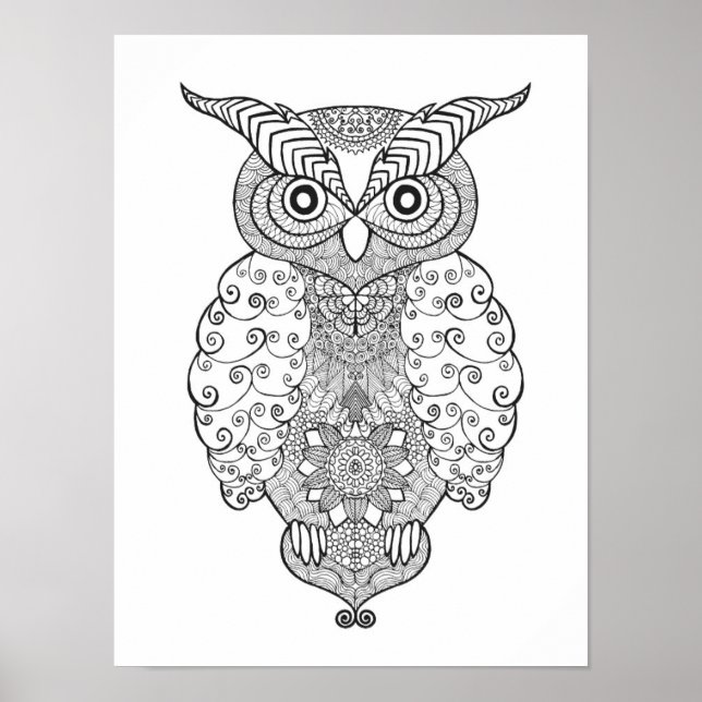Doodle Owl 2 Poster (Vorne)