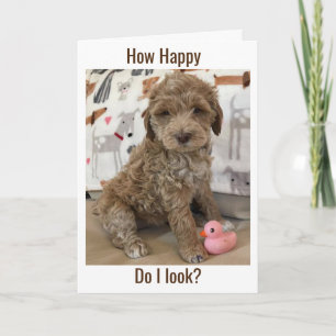 DOODLE PUP WÜNSCHT IHNEN EINEN **A SPÄTER GLÜCKLIC KARTE