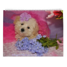 Doodle Welpen-Kalender