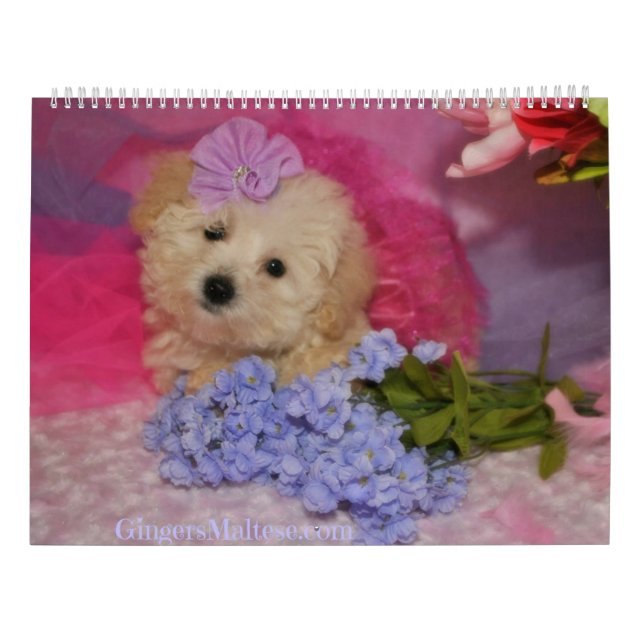 Doodle Welpen-Kalender Kalender (Rückseite)