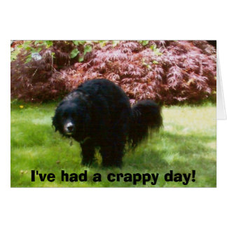 Doodles, ich hatte einen beschissenen Tag!