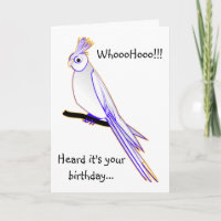 Doof Cockatiel