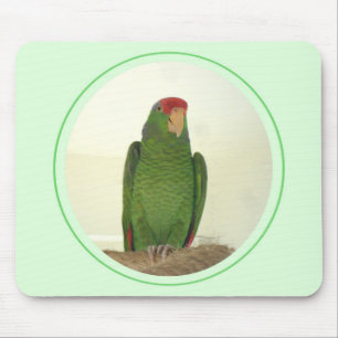 Dooley 1 mousepad