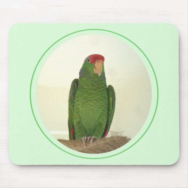 Dooley 1 mousepad (Vorne)