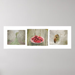 Door Landkreis Cherry Trio Poster