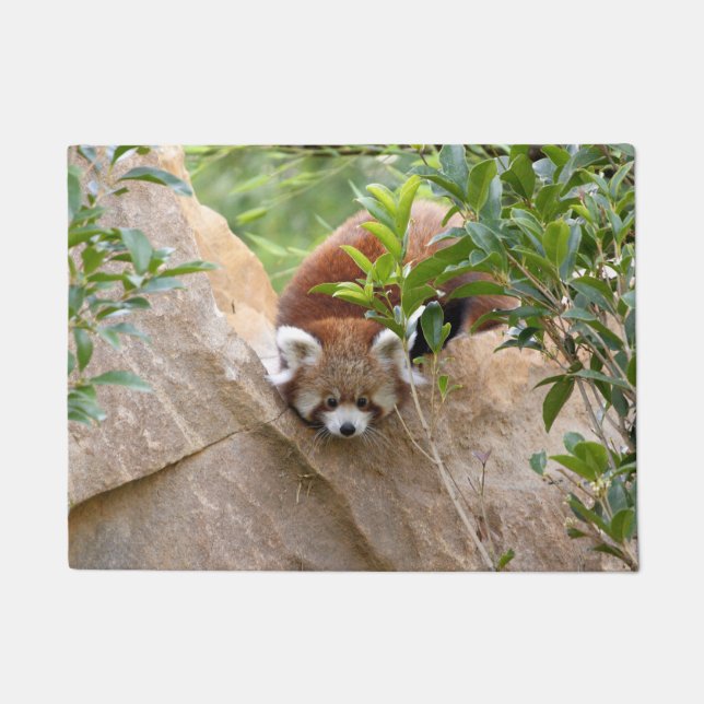 Doormat Foto roter Panda, Tiere 0233. Fußmatte (Vorderseite)