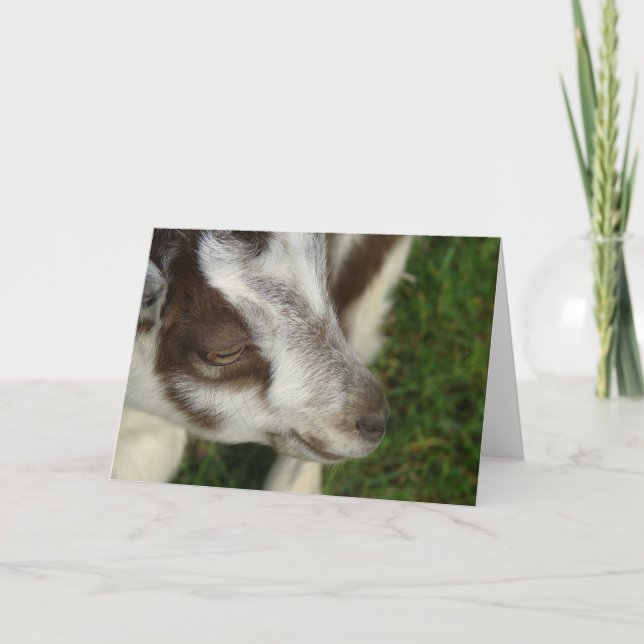 Dopie Karte (Vorderseite)