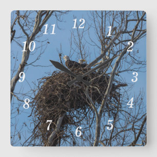 Doppel-Adler-Trouble-Wall Quadratische Wanduhr