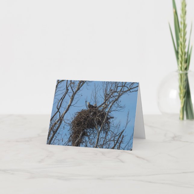 Doppel-Adlerstörkarte Karte (Vorderseite)