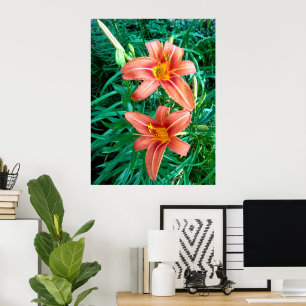 Doppel-Daylily Orange-Blumen-Foto-Poster Poster