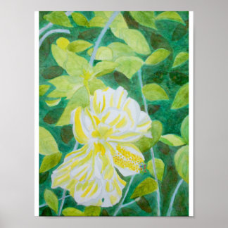 Doppel-Hibiskus Blume Aquarell Poster