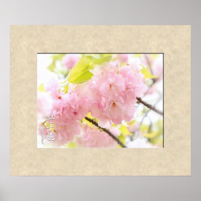 Doppel-Kirschblossom: Benitemari Poster (Vorne)