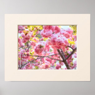 Doppel-Kirschblüte: Matsumae-benimurasaki Poster