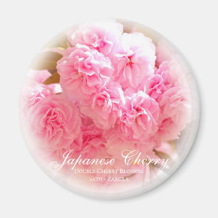 Doppel-Kirschblüte: Sato-zakura Magnet