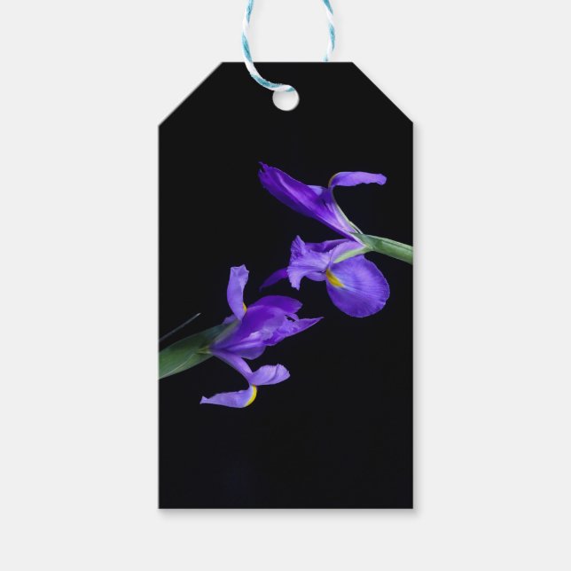 Doppel-Lila Iris-Geschenkmarke Geschenkanhänger (Vorderseite)