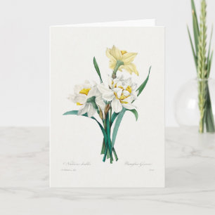 Doppel-Narzisse, Pierre-Joseph Redouté, 1827 Karte