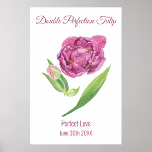 Doppel Perfektion Tulpe pink magenta Aquarell Poster