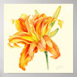Doppel-Taglilie Hemerocallis orange Aquarell Poster
