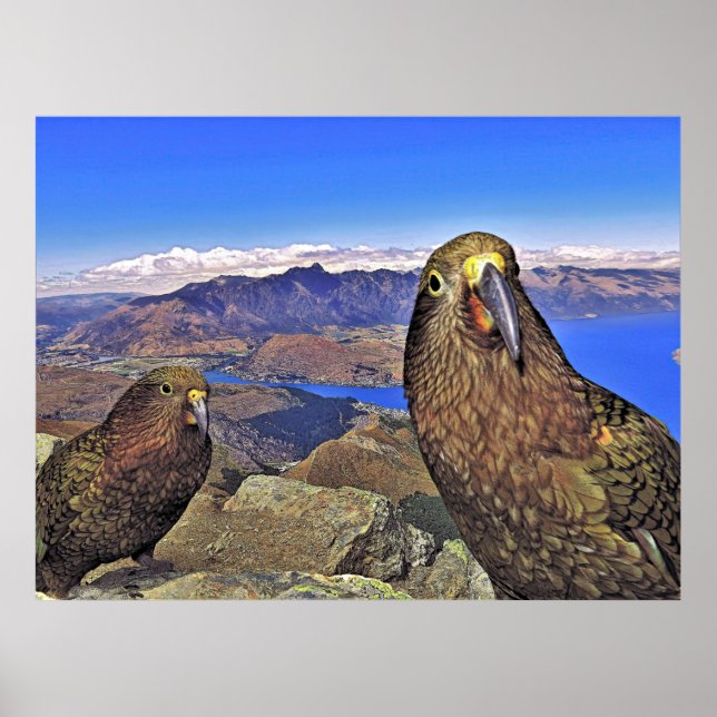 Doppel-Trouble Kees Poster (Vorne)