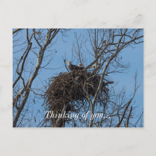 Doppeladlerproblem Postkarte