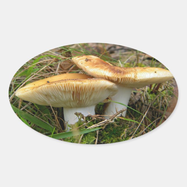 Doppelaufkleber Ovaler Aufkleber (Vorderseite)
