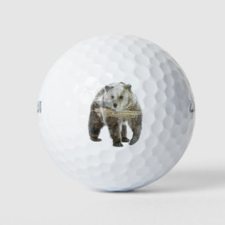 Doppelbelichtungsbär und Holz Golfball