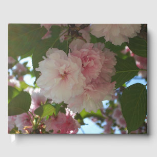 Doppelblühende Kirschbaum I Frühjahrsblüte Gästebuch