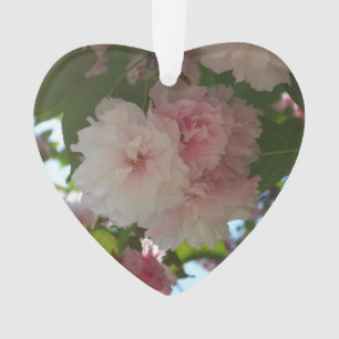 Doppelblühende Kirschbaum I Frühjahrsblüte Ornament