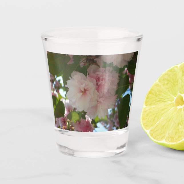 Doppelblühende Kirschbaum I Frühjahrsblüte Schnapsglas (Vorderseite)