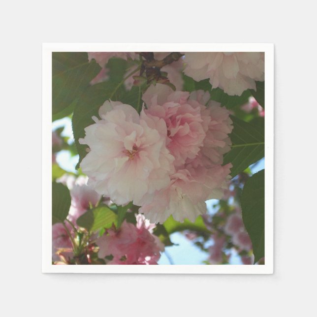 Doppelblühende Kirschbaum I Frühjahrsblüte Serviette (Vorderseite)